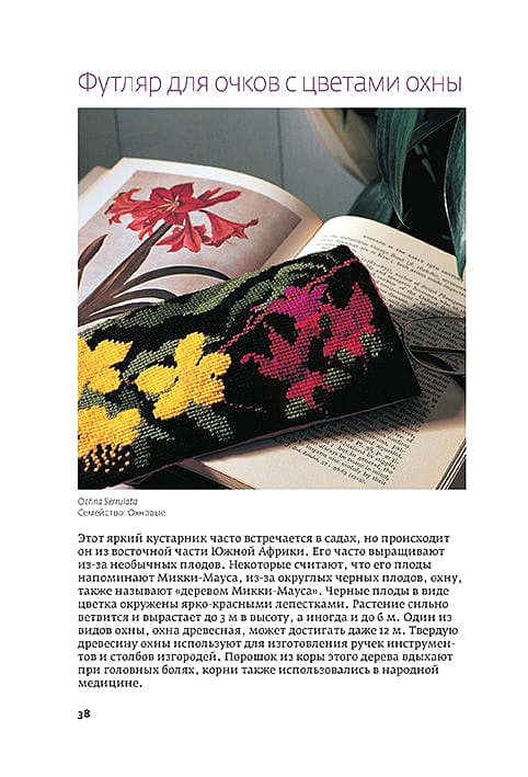 Стелла Найт Великолепные подушки. Вышивка крестом. Цветы и фрукты. - №4