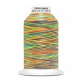 Нитки Gütermann Bulky-Lock №80 Multicolour 1000м цвет 9822 