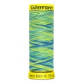 Нитки Gütermann Deco Stitch Multicolour №70 70м Цвет 9968 